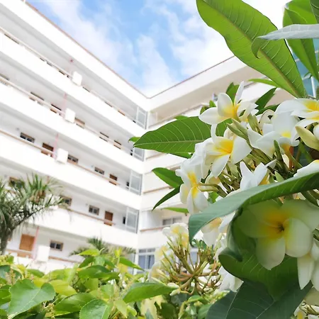 Camelias 215 By Pride Maspalomas (Gran Canaria)