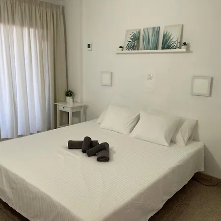 Apartamento Camelias 215 *